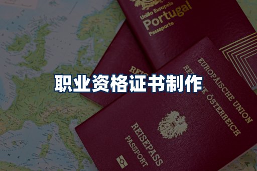 职业资格展示