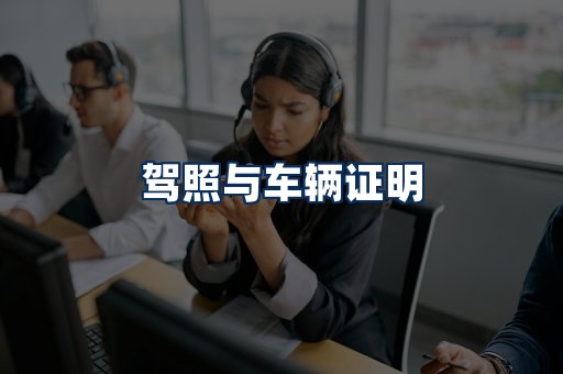 车辆证明展示