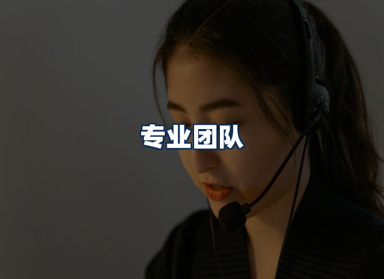 专业团队